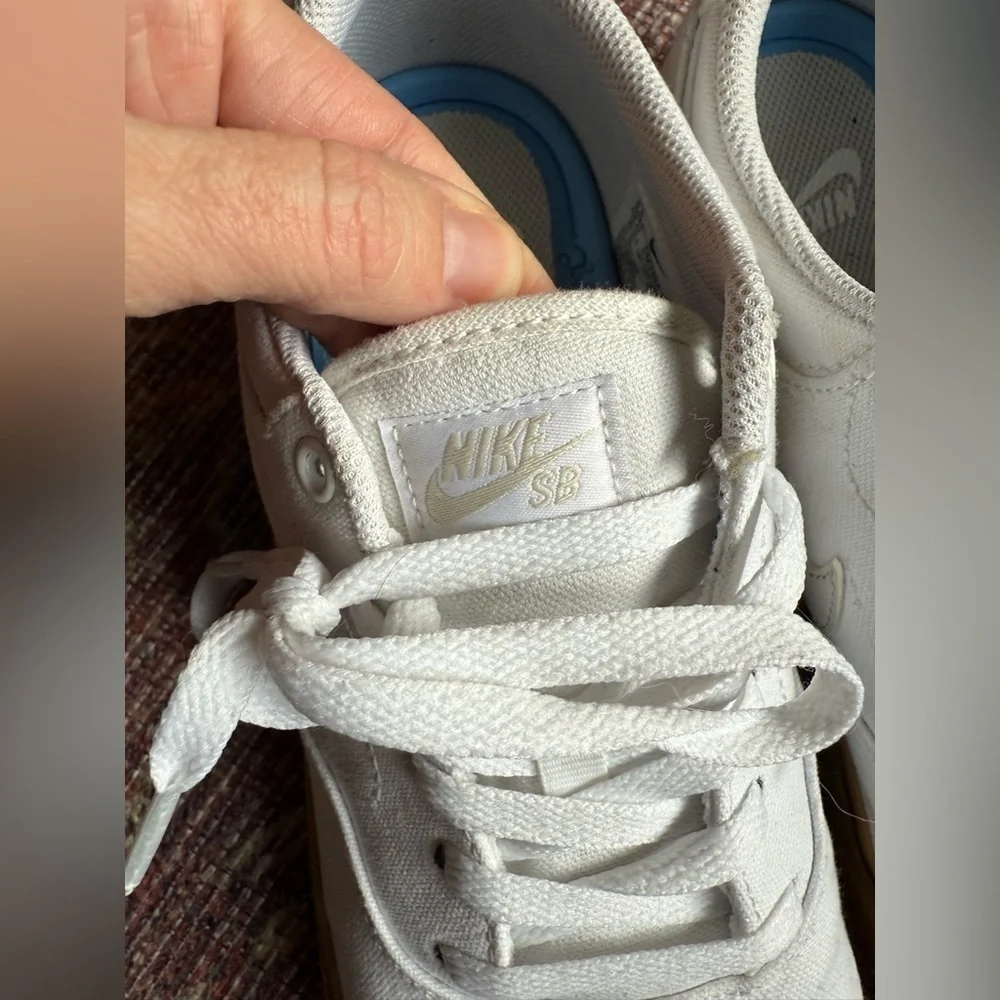 Nike classic sb